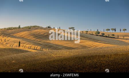 Asciano, Italien - 25. Juli 2023: Toskanische Landschaft. Einer der berühmtesten Orte in der Toskana, in der Nähe von Asciano (Siena). Italien Stockfoto