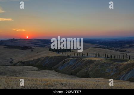 Asciano, Italien - 22. Juli 2023: Toskanische Landschaft bei Sonnenuntergang. Einer der berühmtesten Orte mit Zypressen und weißen Schotterstraßen in der Toskana, nea Stockfoto