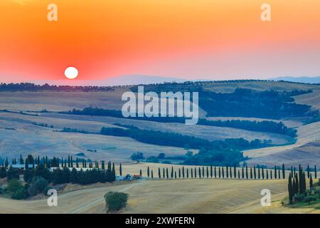 Asciano, Italien - 22. Juli 2023: Toskanische Landschaft bei Sonnenuntergang. Einer der berühmtesten Orte mit Zypressen und weißen Schotterstraßen in der Toskana, nea Stockfoto