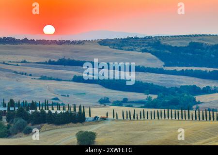 Asciano, Italien - 22. Juli 2023: Toskanische Landschaft bei Sonnenuntergang. Einer der berühmtesten Orte mit Zypressen und weißen Schotterstraßen in der Toskana, nea Stockfoto