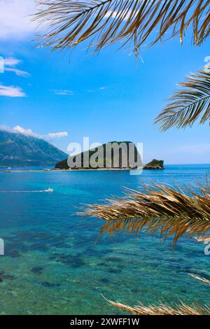 Tropische Landschaft in Montenegro. Wunderschönes Bild vom klaren blauen Meer, der grünen Insel und den Bergen. Palmenzweige gegen den Himmel in Budva Stockfoto