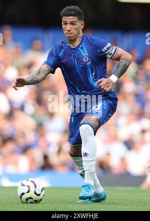 London, Großbritannien. August 2024. Chelsea's Enzo Fernandez während des Premier League-Spiels in Stamford Bridge, London. Der Bildnachweis sollte lauten: Paul Terry/Sportimage Credit: Sportimage Ltd/Alamy Live News Stockfoto