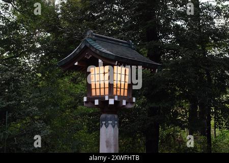 Auf dem Weg zum Meji-Schrein in Tokio, Japan, wird eine traditionelle Lampe beleuchtet. Stockfoto