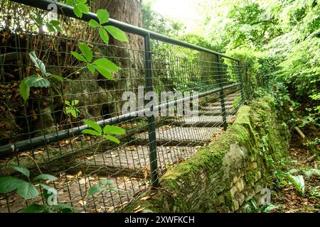 Landschaftlich schöner Green Path mit Steintreppen und Metallgeländern, umgeben von üppigem Laub. Stockfoto