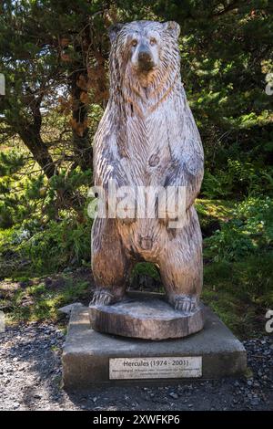 Ein HDR-Bild der Schnitzerei von Herkules dem Grizzlybären in Langass-Holz, North Uist, Äußere Hebriden, Schottland, 5. August 2024 Stockfoto