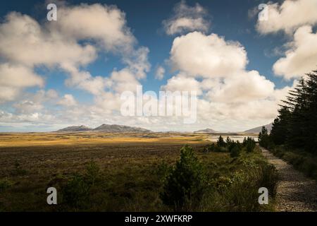 Ein HDR-Sommerbild der Landschaft in der Nähe von Langass-Wäldern mit Li'a Tuath und Li'a deas in der Ferne, North Uist, Äußere Hebriden, Schottland. August 2024 Stockfoto