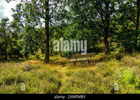 Eine wunderbare Wanderung durch die einzigartige und farbenfrohe Landschaft der Osterheide - Bispingen - Niedersachsen - Deutschland Stockfoto