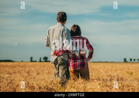 Rückansicht von männlichen und weiblichen Landarbeitern, die sich auf reifem Weizenplantagenfeld ausgeben, selektiver Fokus Stockfoto