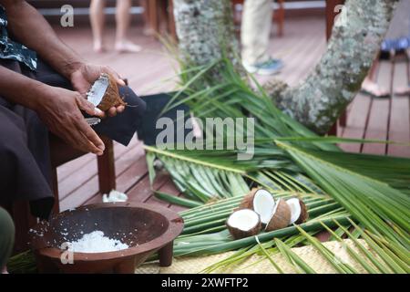 Frische Kokosnuss kratzen, traditionelle Essensvorführung, Fidschi Stockfoto