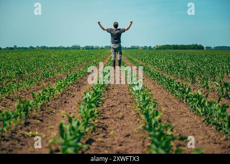 Erfolgreicher Landwirt, der die Hände in siegreicher Pose auf dem Maisfeld hebt, selektiver Fokus Stockfoto