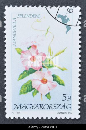 Gestempelte Briefmarke, gedruckt von Ungarn, die Shining Mandevilla (Mandevilla splendens), Flora of America, um 1991 zeigt. Stockfoto