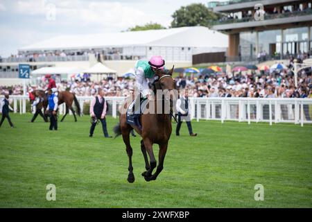 Bluestocking und Rossa Ryan starten den Start für die King George VI & Queen Elizabeth QIPCO Stakes 2024 bei Ascot. Credit JTW equine Images / Alamy Stockfoto