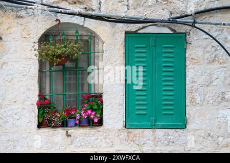 Grüne Metallläden und Blumen in einem bogenförmigen Fenster in einer Steinmauer, typisch für Häuser im alten Jerusalem, Israel. Stockfoto