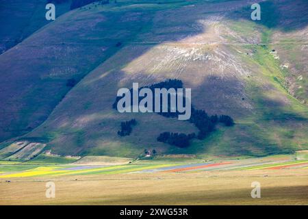 Das italienische Holz auf den Bergen rund um Casteluccio di Norcia in Umbrien, Italien Stockfoto