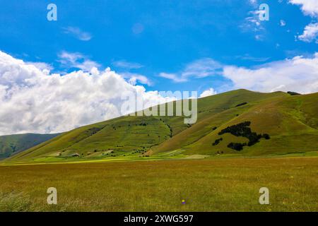 Das italienische Holz auf den Bergen rund um Casteluccio di Norcia in Umbrien, Italien Stockfoto