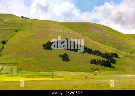 Das italienische Holz auf den Bergen rund um Casteluccio di Norcia in Umbrien, Italien Stockfoto