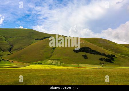 Das italienische Holz auf den Bergen rund um Casteluccio di Norcia in Umbrien, Italien Stockfoto