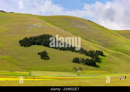 Das italienische Holz auf den Bergen rund um Casteluccio di Norcia in Umbrien, Italien Stockfoto