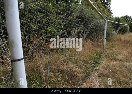 Überwachsene Fußballtorpfosten hohes Gras vernachlässigt zerrissene Netze Stockfoto