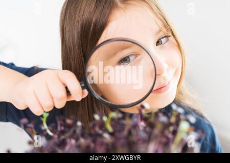 Ein kleines Mädchen hält eine Lupe und schaut sich die gewachsenen Mikrogrün auf hellem Hintergrund in einem blauen T-Shirt an. Hochwertige Fotos Stockfoto