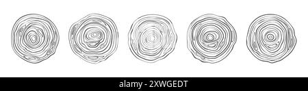 Baumstämme runden Abschnitte ab. Kreisförmige Holzringe, topografische Kartenlinien, Umrisstextur, Baumstümpfe mit Jahresringen, Rundscheibe von oben, Konstruktion Stock Vektor