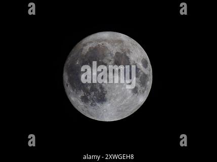 Ein voller Blauer Sturgeon Supermond, der am Nachthimmel über Kanada vor schwarzem Hintergrund leuchtet, am 19. August 2024. Stockfoto