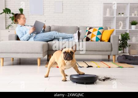 Niedliche französische Bulldogge in der Nähe von Roboter-Staubsaugern und verstreuter Erde zu Hause Stockfoto