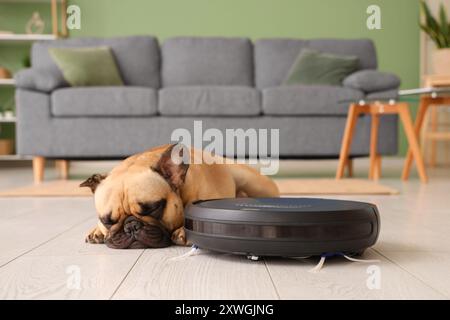 Niedliche französische Bulldogge, die zu Hause in der Nähe eines Roboter-Staubsaugers liegt Stockfoto