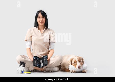 Weiblicher Groomer mit Schere und australischem Schäferhund auf hellem Hintergrund Stockfoto