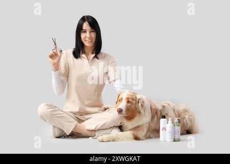 Weiblicher Groomer mit Schere und australischem Schäferhund auf hellem Hintergrund Stockfoto