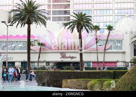 19.08.2024, AMERIKA, USA, unterwegs in Amerika, Symbolbild, Themenbild, Verschiedene Themenbilder, Reise, Reiseimpressionen, Reisefeatures, Vereinigte Staaten von Amerika, Reisefeature, im Bild Flamingo, Hotel Casino, Las Vegas Boulevard, Las Vegas, Nevada, USA, Boulevard, Las Vegas, *** 19 08 2024, AMERIKA, USA, unterwegs in Amerika, Symbolbild, Themenbild, verschiedene Themenbilder, Reisen, Reiseeindrücke, Reiseangebote, Vereinigte Staaten von Amerika, Reisefunktion, im Bild Flamingo, Hotel Casino, Las Vegas Boulevard, Las Vegas, Nevada, USA, Boulevard, Las Vegas, Stockfoto