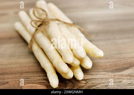 Garten Spargel, Spargel Gras, Wildspargel (Spargel officinalis), Weißer Spargel frisch geerntet Stockfoto