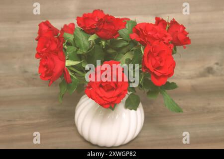 Zierrose (Rosa spec.), rote Rosen in einer Blumenvase, 2 Stockfoto