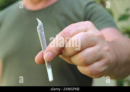 Indischer Hanf, Marihuana, mary jane (Cannabis sativa), Mann, der ein Gelenk zwischen den Fingern hält Stockfoto