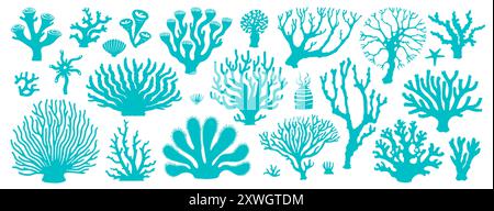 Isoliertes Unterwasser-Korallenriff und Algen, Vektorentricksymbole. Unterwasser- und Meeresfauna und Meerespflanzen, abstrakte Korallen oder Aktinien und tropische Wasserblumen Stock Vektor