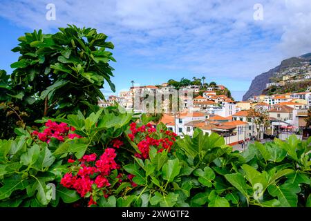 Stadt Câmara de Lobos farbenfrohe Blumen, Dorflandschaft, Sommer, Insel Madeira, Portugal Stockfoto