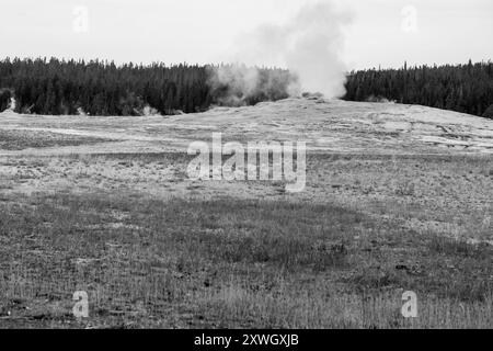 Der alte Geysir in Schwarz und weiß Stockfoto