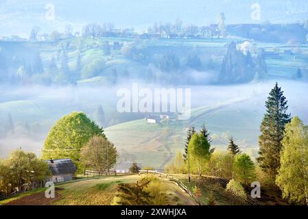 Ruhige Landschaft am Morgen mit Nebel über sanfte Hügel. Das Sonnenlicht zieht durch und hebt das gemütliche Bauernhaus hervor, das von üppigen Bäumen umgeben ist. Verstreute Häuser und verwinkelte Wege, nebelbedeckte Täler. Stockfoto