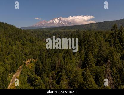 Dunsmuir, Kalifornien, USA. Juli 2024. Der Mount Shasta blickt über die Bäume in der Nähe von Dunsmuir, Kalifornien. Mount Shasta ist ein potenziell aktiver Vulkan am südlichen Ende der Kaskadenkette im Siskiyou County, Kalifornien. Mit einer Höhe von 14.179 m ist er der zweithöchste Gipfel in den Kaskaden und der fünfthöchste im US-Bundesstaat Kalifornien. (Kreditbild: © Marty Bicek/ZUMA Press Wire) NUR REDAKTIONELLE VERWENDUNG! Nicht für kommerzielle ZWECKE! Stockfoto