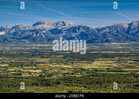 Wälder und Felder in der Nähe der Städte Randa und Algaida an einem Frühlingsmorgen. Im Hintergrund die Berge der Serra de Tramuntana (Mallorca, Spanien) Stockfoto