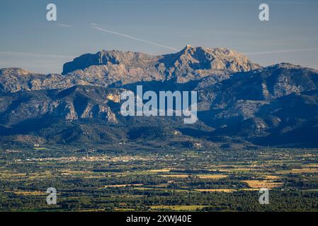 Puig Major, der höchste Gipfel der Serra de Tramuntana auf Mallorca, gesehen von Puig de Randa (Mallorca, Balearen, Spanien) Stockfoto