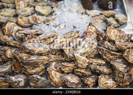 Frische Austern auf dem Broadway Market in London Stockfoto