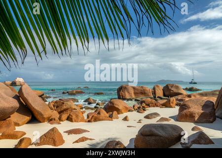 Palmen und Granitfelsen in Anse Lazio, malerischer Strand auf Praslin Island, Seychellen Stockfoto