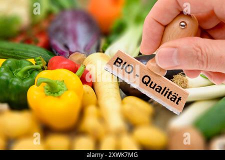 Bio-Qualität von Lebensmitteln ein Holzstempel ist beschriftet mit dem Aufdruck: Bio-Qualität über frisches Obst und Gemüse - FOTOMONTAGE *** Bio q Stockfoto