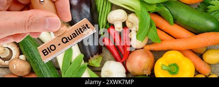 Bio-Qualität von Lebensmitteln ein Holzstempel ist beschriftet mit dem Aufdruck: Bio-Qualität über frisches Obst und Gemüse - FOTOMONTAGE *** Bio q Stockfoto