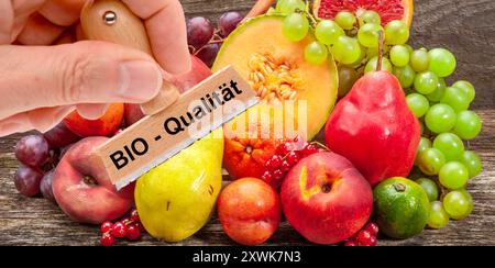 Bio-Qualität von Lebensmitteln ein Holzstempel ist beschriftet mit dem Aufdruck: Bio-Qualität über frisches Obst und Gemüse - FOTOMONTAGE *** Bio q Stockfoto