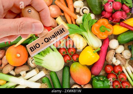 Bio-Qualität von Lebensmitteln ein Holzstempel ist beschriftet mit dem Aufdruck: Bio-Qualität über frisches Obst und Gemüse - FOTOMONTAGE *** Bio q Stockfoto