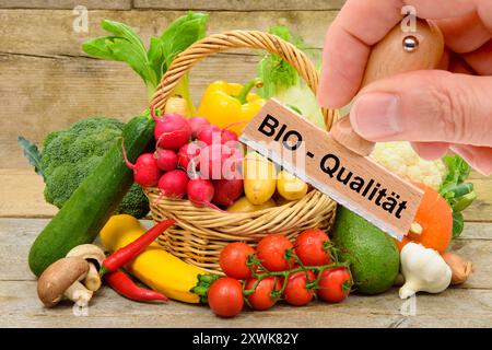 Bio-Qualität von Lebensmitteln ein Holzstempel ist beschriftet mit dem Aufdruck: Bio-Qualität über frisches Obst und Gemüse - FOTOMONTAGE *** Bio q Stockfoto