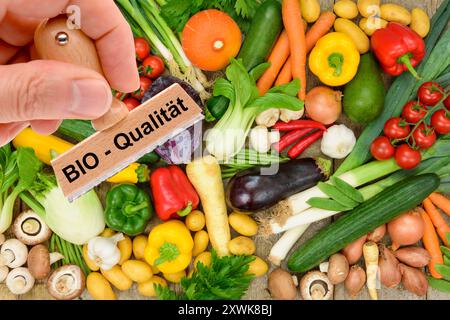 Bio-Qualität von Lebensmitteln ein Holzstempel ist beschriftet mit dem Aufdruck: Bio-Qualität über frisches Obst und Gemüse - FOTOMONTAGE *** Bio q Stockfoto