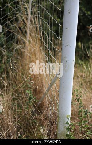 Überwachsene Fußballtorpfosten hohes Gras vernachlässigt zerrissene Netze Stockfoto